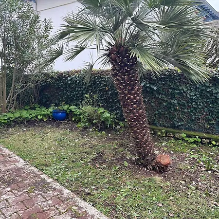 Avec Terrasse En Bord De - Fr-1-494-172 Apartamento *