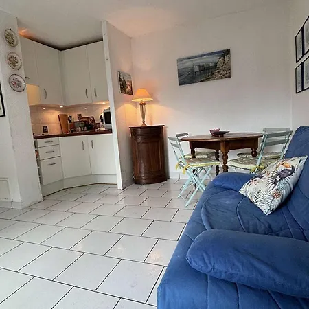 Apartment Avec Terrasse En Bord De - Fr-1-494-172